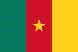 Cameroon Flag